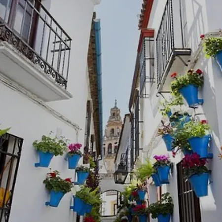 Apartment El Patio De La Cris Puente Genil